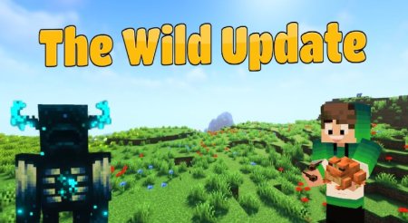  The Wild  Minecraft 1.17.1