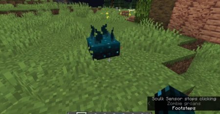  The Wild  Minecraft 1.17.1