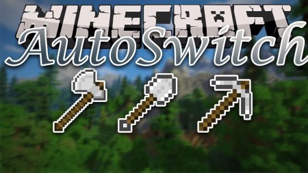 AutoSwitch  Minecraft 1.21.4