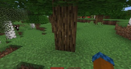  AutoSwitch  Minecraft 1.21.4