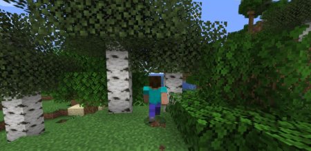  Hidden Names  Minecraft 1.21.1