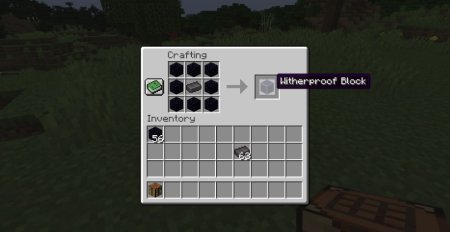  Wither Proof Block  Minecraft 1.16.5