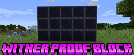 Wither Proof Block  Minecraft 1.16.5