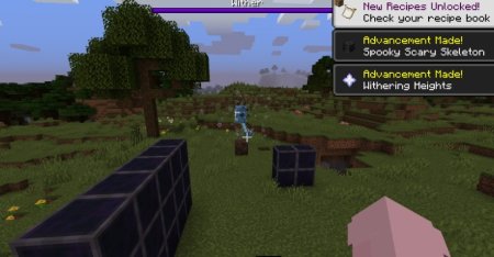  Wither Proof Block  Minecraft 1.16.5