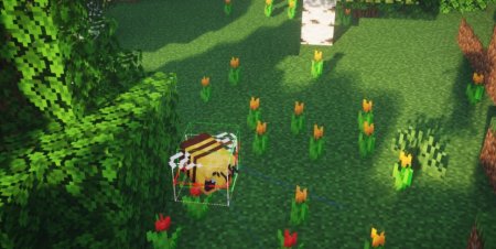  Entity Desync Viewer  Minecraft 1.21.3