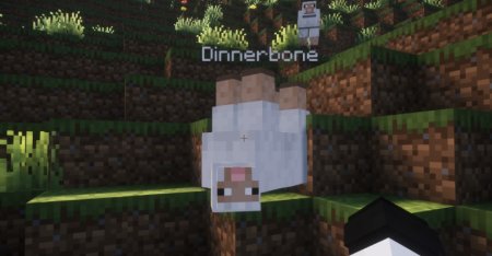  Toggle Nametags  Minecraft 1.21.4