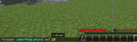 Скачать Xp Bottles для Minecraft 1.21