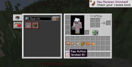  SpoiledZ  Minecraft 1.20.1