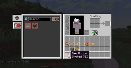  SpoiledZ  Minecraft 1.21.1