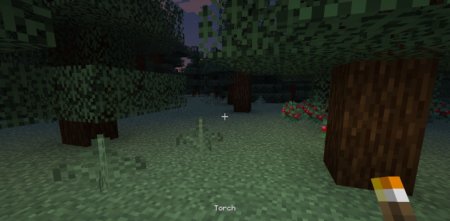  Light Aura  Minecraft 1.21.5