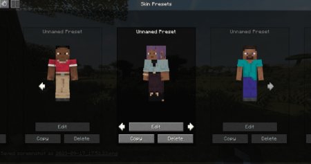  Skin Shuffle  Minecraft 1.21.4