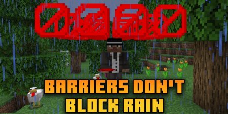  Barriers Dont Block Rain  Minecraft 1.21.4
