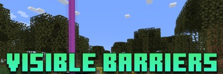  Visible Barriers  Minecraft 1.21.4