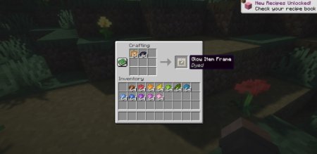  Fast Item Frames  Minecraft 1.21.5