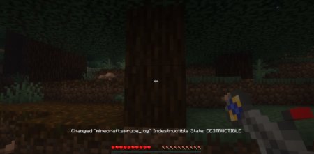  Indestructible Blocks  Minecraft 1.21.5