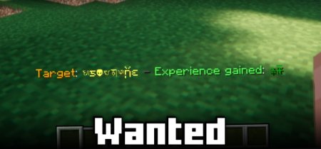  Wanted Mod  Minecraft 1.21.1