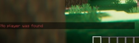  Reply  Minecraft 1.21.1