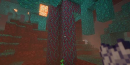  Big Fungus  Minecraft 1.20.6