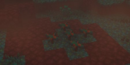  Big Fungus  Minecraft 1.21.1