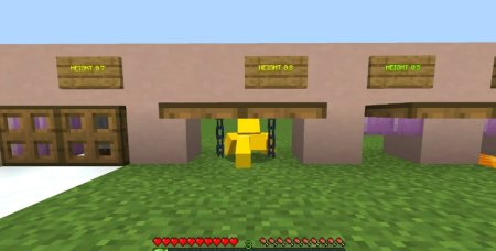  Crawl  Minecraft 1.21.4