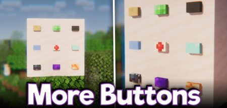  More Buttons  Minecraft 1.21.5
