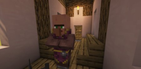  Villagers Respawn  Minecraft 1.21.5