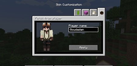  Fabric Tailor  Minecraft 1.21.1