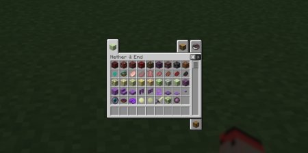 Nether & End  Minecraft 1.21.4