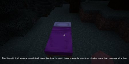  Insomnia  Minecraft 1.21.5