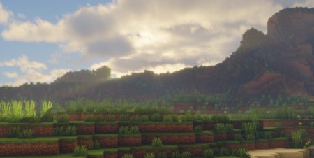  Dimension Level Data  Minecraft 1.21.4