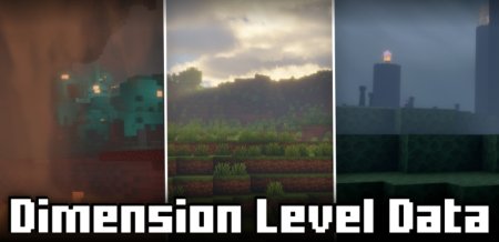  Dimension Level Data  Minecraft 1.21.5