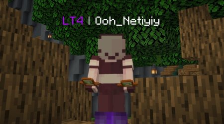  TierTagger  Minecraft 1.21.5