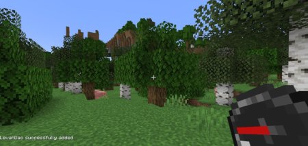  Compass Manhunt  Minecraft 1.21.5