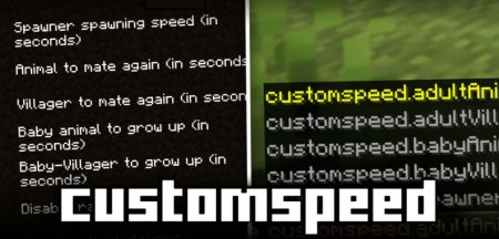  Customspeed  Minecraft 1.21.5
