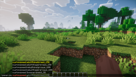  Customspeed  Minecraft 1.21.5