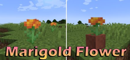  Marigold Flower  Minecraft 1.21.1