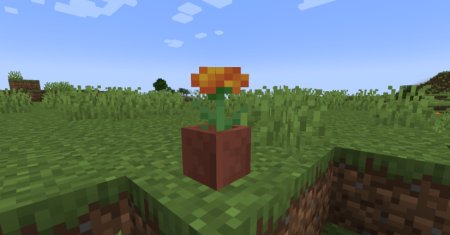  Marigold Flower  Minecraft 1.21.1