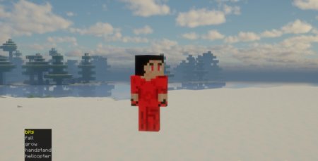  Danse  Minecraft 1.21.5