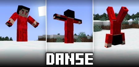  Danse  Minecraft 1.21.5