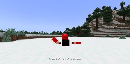  Danse  Minecraft 1.21.5