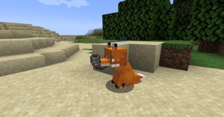  Musical Foxes  Minecraft 1.21