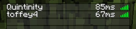  Better Ping Display  Minecraft 1.21.5
