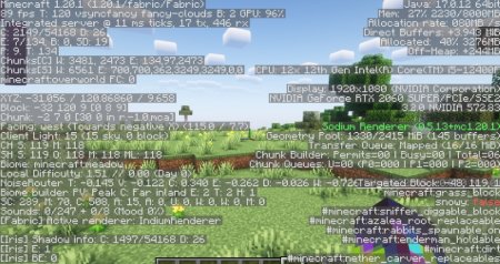  Optimizer  Minecraft 1.21.4