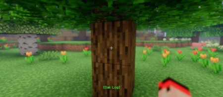  Reader  Minecraft 1.21.5
