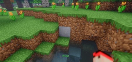  Reader  Minecraft 1.21.5