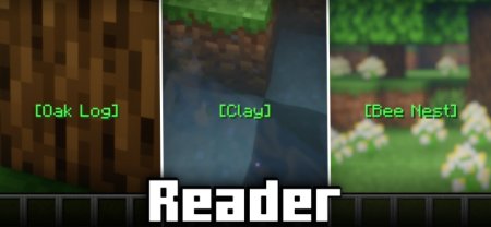  Reader  Minecraft 1.21.5