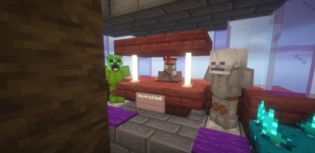  Enchanted Villagers  Minecraft 1.21.4