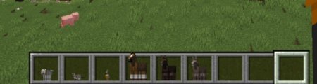  Pickable Pets  Minecraft 1.21.4