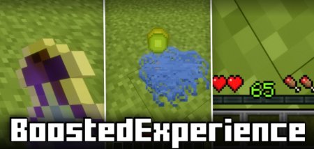  Boosted Experience  Minecraft 1.21.4