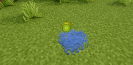  Boosted Experience  Minecraft 1.21.5